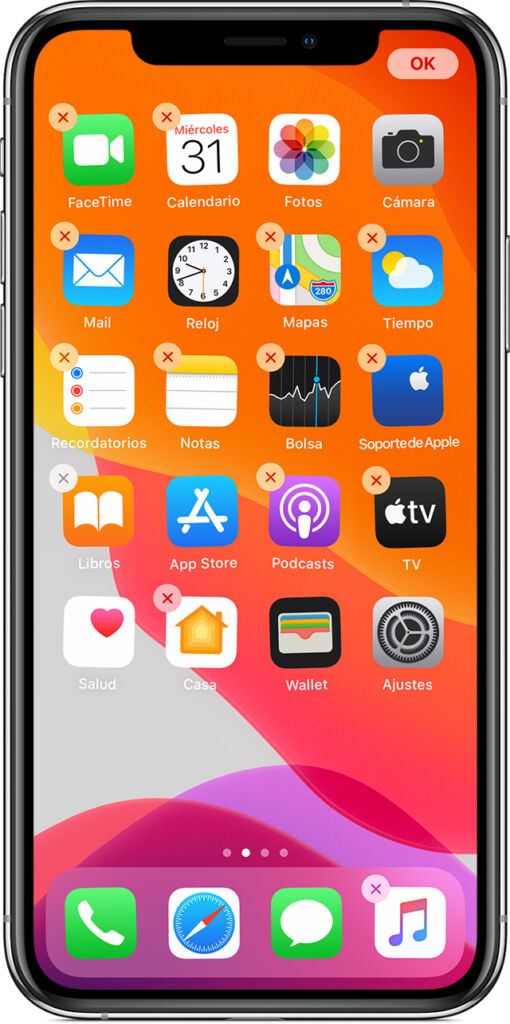 iOS Main View