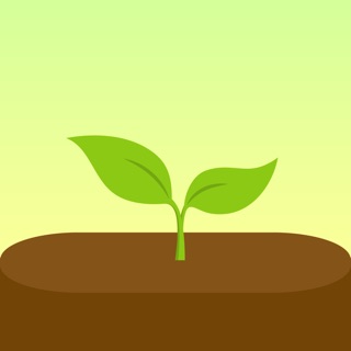 app forest