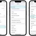 ¿Cómo saber cuánto almacenamiento tiene un iPhone?
